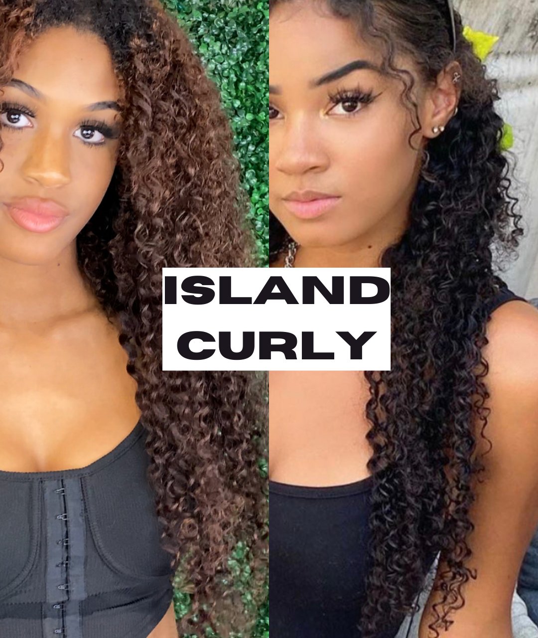 Island Curly – BelH Ext display picture 1