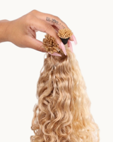 Signature Steam Fusion Extensions