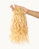 Beach Wavy · Signature Steam Tape-ins