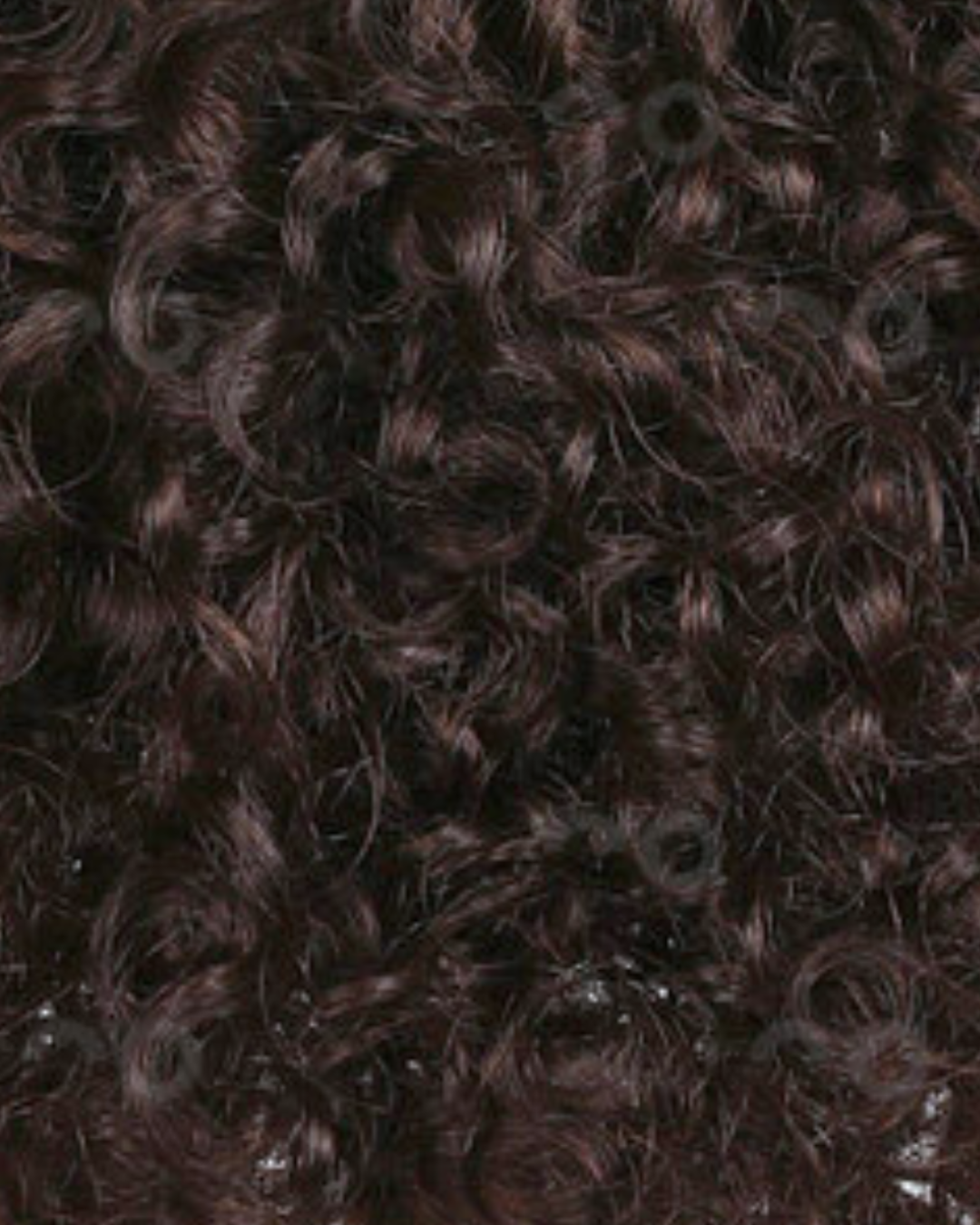 BEL-HAIR PRO / Signature Steam™ · Exotic Curly 3A / Fusion Extensions · I-Tip · K-Tip